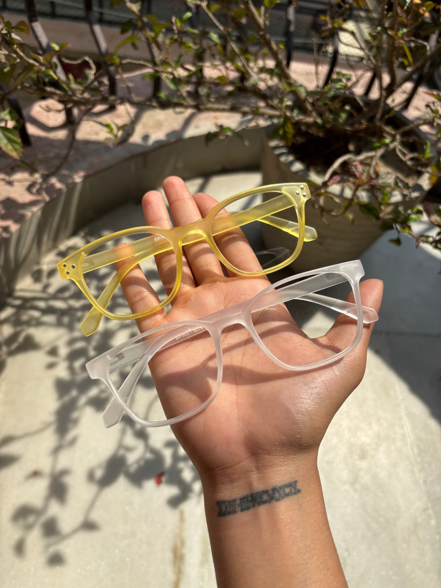 classis wayfarer combo